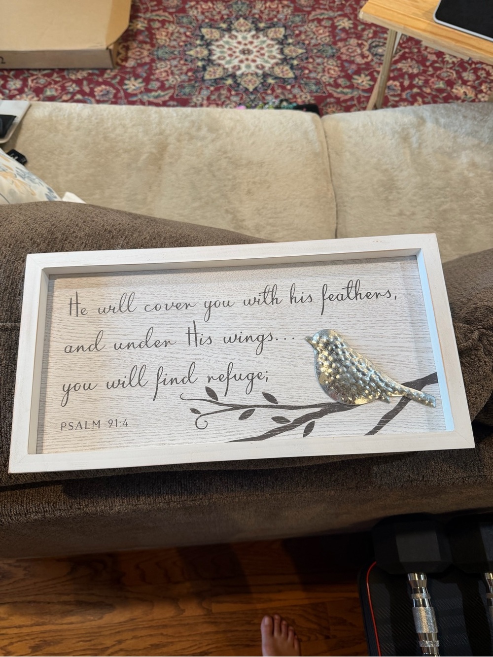 Psalm 91:4 Framed Wall Art - White with Silver Bird